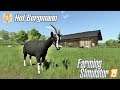 Kozy i owce. - Hof  Bergmann FS19 ☆ Farming Simulator 19 ☆  #4 ㋡ Anton