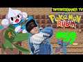 YouTube Shorts ♻️☠ Let's Play Pokémon Rubin Clip 59 HIGH END GAMING