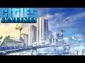 Cities Skylines #272 [GER][WQHD][Facecam][Live]