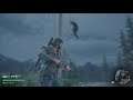 Days Gone PS4 Gameplay glitches Playstation 4 2021