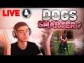 🔴DOGS ARE SMARTER ? IM BACK - LifeAfter LIVESTREAM
