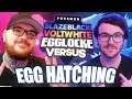 EGG HATCHING!! (Pokémon Blaze Black & Volt White Egglocke Versus LIVE)