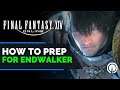 FFXIV Endwalker | How to Prep for the Expansion and Beyond