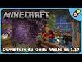 Minecraft - Ouverture du Gadu World en 1.17 [FR]
