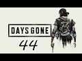 Days Gone | Capitulo 44 | Bastante Resistencia | Ps4 Pro |