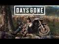 Days Gone - ep:13