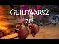 Guild Wars 2: Path of Fire [LP] [Blind] [Deutsch] Part 714 - Eine Horde Unverstehbar