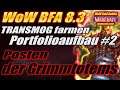 Posten der Grimmtotems | TRANSMOG farmen + Portfolioaufbau #2 | WoW Gold Guide