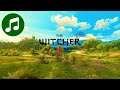 Relaxing WITCHER Music 🎵 Ambient Chill Mix (SLEEP | STUDY | FOCUS)