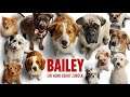 Unboxing ~ Bailey - Ein Hund kehrt zurück ~ Constantin Film  (German)