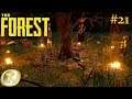 Ep21: L'ennemi invisible (The forest fr Let's play Hard Survival)