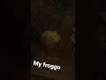 My froggo wiping his face :D