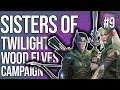 Sisters of Twilight Campaign #9 | Total War: Warhammer 2