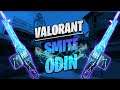 SMITE ODIN SKIN SHOWCASE & GAMEPLAY - VALORANT EGO COLLECTION FOR EVERYONE