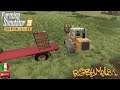 FARMING SIMULATOR 19 - ALPINE FARMING DLC - 32 -  Facciamo Legna Da Ardere
