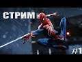 Marvel Spider-Man - Стрим с PS4 PRO - МАНХЭТТЭНУ НУЖЕН НОВЫЙ ГЕРОЙ - #1