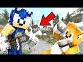 Minecraft Sonic The Hedgehog - GOD Sonic Decides Who DIES?! [118]