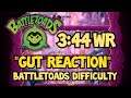 Battletoads - Gut Reaction Speedrun WR - 3:44 - Battletoads Difficulty