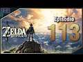 Darkpelos joga Zelda Breath of the Wild [Master Mode] - Episódio 113