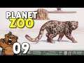 Nosso primeiro felino! | Planet Zoo #09 - Gameplay PT-BR