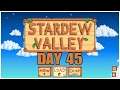 #45 Stardew Valley Daily, PS4PRO, Gameplay, Playthrough
