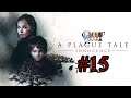 A Plague Tale Innocence Platin-Let's-Play #15 | Alles, was bleibt (deutsch/german)