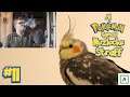 All Pokemon Games Nuzlocke straff #11 | Try not to laugh challenge med vann i munnen