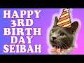 Cat birthday party | Seibah's 3rd Gotcha / Birthday celebration