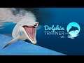 Анонсовый трейлер игры Dolphin Trainer VR!