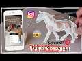 KIJKERS BEPALEN MIJN NIEUWE SCHLEICH PAARD!! π± 5.0 | Daphne draaft door