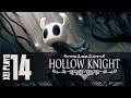 Let's Play Hollow Knight (Blind) EP14
