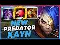 *NEW CHANGES* They BUFFED PREDATOR And Now Kayn Is An Absolute JUNGLE GOD - League of Legends