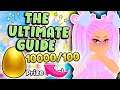 The ULTIMATE GUIDE To The Egg Hunt 2021! How To Get All The NEW Accessories in Roblox Royale High!