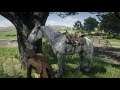 Ghost Hunting Locations Red Dead redemption 2 PlayStation 5