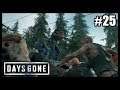 MA PREMIÈRE HORDE ! (Days Gone #25) [FR]