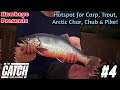 THE CATCH: Carp and Coarse - Hotspot for Carp, Trout, Arctic Char, Chub, & Pike!