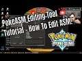 PokeASM Editing Tool | ASM Dateien einfach Bearbeiten! Tutorial!