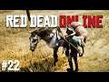 Red Dead Redemption 2 - Online (Let's Play German/Deutsch) 🐎 22 - Kleine Jagd nebenbei