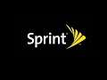 Sprint Insight | Store Reps Vs Care Reps