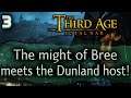 THE BATTLE FOR METRAITH! - Bree Campaign - DaC v4 - Third Age: Total War #3