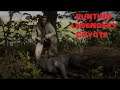 How to Hunt Legendary Coyote - RED DEAD REDEMPTION 2