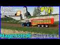 Let's Play FS19, Hagenstedt #171: Silage Again!