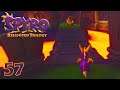 Spyro Reignited Trilogy #57 ► Es wird HEIß! | Let's Play Deutsch