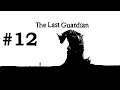 #12 The Last Guardian végigjátszás | PS5