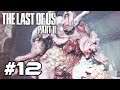 LAST OF US PART 2 Gameplay Walkthrough - Part 12