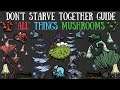 Don't Starve Together Guide: "All" Things Mushrooms