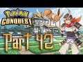 Pokemon Conquest 100% Playthrough with Chaos part 42: Eastern Tactics