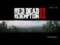 Red Dead Redemption 2 Day 14 part 2 | Official ongoing campaign run | no online games | PS4