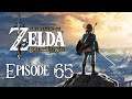 The Legend of Zelda: Breath of the Wild | Sonic The Hodge Hedge - Ep. 65