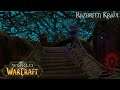 World of Warcraft (Longplay/Lore) - 00076: Razorfen Kraul